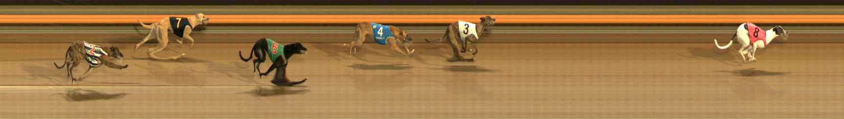 Race result finish photo